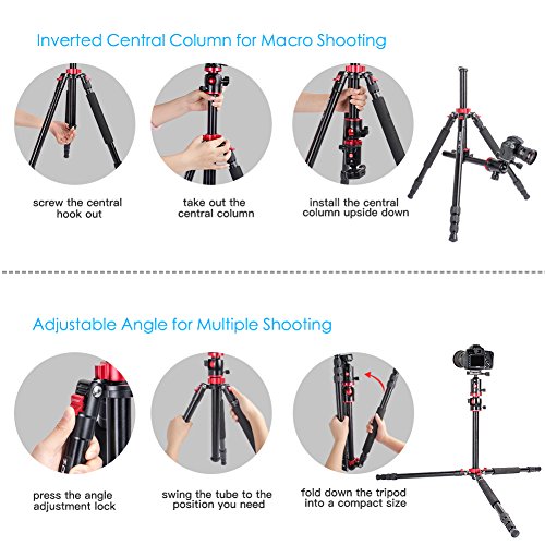 ZOMEi DSLR Camera Tripod 4 Section Portable Magnesium Aluminium Monopod Professional Tripods with 360 Degree Horizontal Rotation Ball Head Quick Release Plate for Canon Nikon Sony DSLR Cameras DV