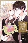 新婚だけど片想い 第11巻