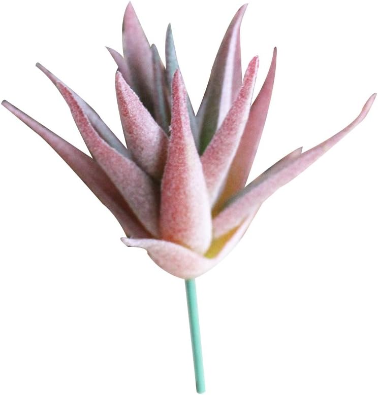 oobest Faux Succulent Plant Artificial Yucca Aloe Vera Picks Assorted Fake Air Plants Unpotted mini alo Home Decor