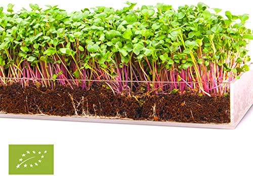 Garden Pocket Bandeja Large Brotes Germinados Bandeja Sustrato de ...
