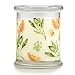 Pet House Candle in 15 Fragrances - All Natural Soy Wax Candle and Pet Odor Eliminator - Eco-Friendly, Non-Toxic, Paraffin-Free - 60-70-Hour Burn Time - Mandarin Sage