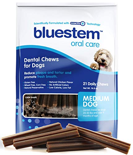 bluestem dog teeth cleaner