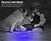 HOPDAY Powerful UV Flashlight Black Handheld 390-410nm wavelength 12 Ultraviolet LED Lights For Home and Hotel Inspection Perfect Pets Urine and Bed Bug Detector With 3 AAA Batteries