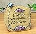 BANBERRY DESIGNS Mom Decorations - Message Desktop Rock - “If Moms were Flowers, I’d Pick You” - Butterfly & Floral Vine Design - 3.5”H - Christmas