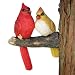 Bits and Pieces - Pair of Cardinals Tree Hugger - Animal and Bird Tree Sculpture Outdoor D&eacute;cor Garden Statue primary