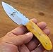 Limited Edition Bone Collector Hand Made Skinning-Hunting Knife [BC853]