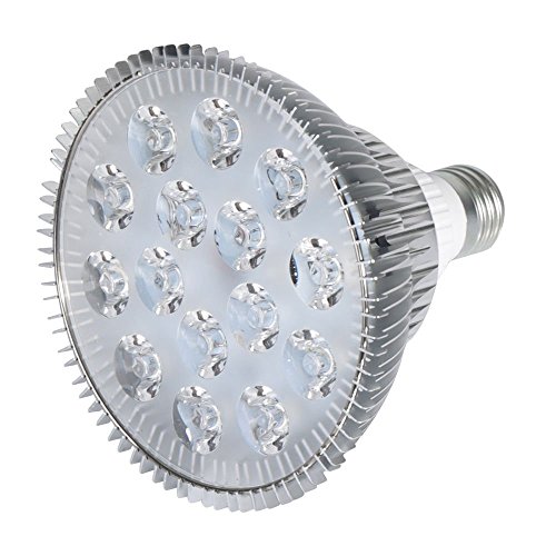 JIAEN E27 LED Grow Lights for Greenhouse Plants,Succulents Grow Light,Cormophytes Grow Light,Blossom Fruit Grow Light (12W, Succulents)