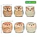 Succulent Planter, Cute Ceramic Owl Planters with Drainage, 2.5 Inch Small Flower Pot, Set of 6 Pots for Plants