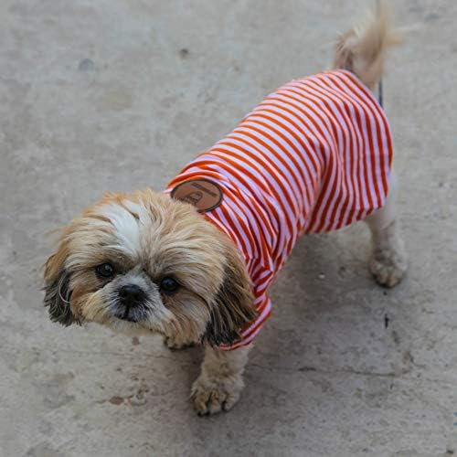 Impawsters Dog Fashion Accessory T-Shirt Dresses for Anniversary Party and Return Gifts Orange Stripe Tee Small Size 8