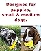 Sensory Fish - Squeaky Dog Toys - Soft, Natural Rubber (Latex) - Puppy - Small Breeds - Medium Breeds & Blind Dogs - Indoor Play - Handpainted - Free of Harmful Chemicals
