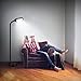SHINE HAI LED Floor Lamp - Dimmable Natural Daylight Sunlight LED Reading and Craft Standing Light Full Spectrum- Adjustable Gooseneck in Any Direction for Living Room Bedroom Office - Black