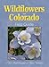 Wildflowers of Colorado Field Guide (Wildflower Identification Guides) primary