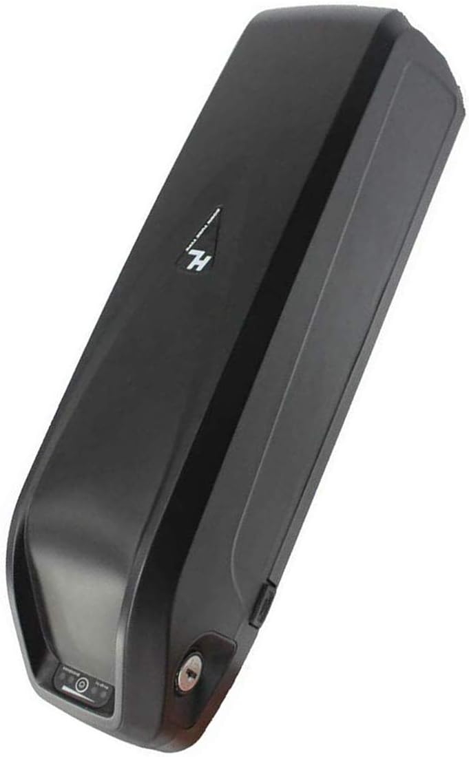 48 volt 1000 watt e bike battery