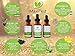 MaxiZest Retinol Serum 2.5% - With Hyaluronic Acid, Vitamin E & Green Tea - Our Best Anti Aging & Anti Wrinkle Serum for Face - 1oz