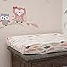 Lambs & Ivy Family Tree Coral/Gray/Gold Feather Changing Pad Cover