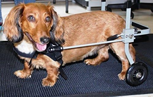 Huggiecart Dog Wheelchair for Extra Small Dog (Size 2) Approximate Weight 9 to 18 Lbs