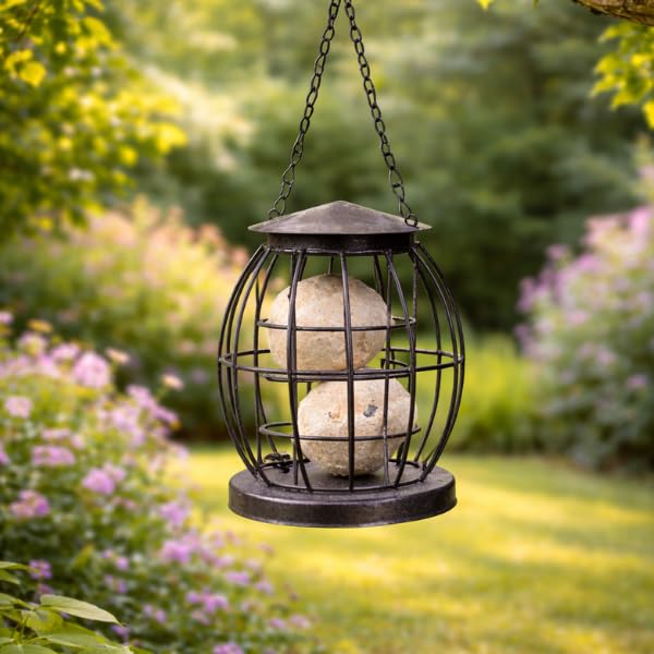 HomeZone Mini Caged Bird Feeders Heavy Duty Fat Ball Feeder Metal Bird Feeders Hanging Perfect For Garden Patio Outdoors All Season Suet Block Feeder Wild Birds Feeding