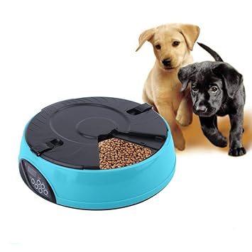 Amazon Com Hter Yy Automatic Pet Feeder 6 Meals A Day Automatic