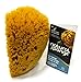 The Natural Sea Sponge, 6 to 7-Inch, Yellow