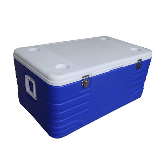 LIANGLIANG - Nevera de plástico para Coche con Mango de Alta ...