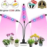 Grow Light, Auto ON Off Every Day with Two-Way Timer 36W Triple Head Grow Lamp for Indoor Plants, High Power LED, 8 Dimmable Levels, 4/8/12H Memory Timing for Hydroponics Greenhouse with 1x Gloves