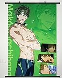 Home Decor Anime Free! - Iwatobi Swim Club Wall Scroll Poster Fabric Painting Makoto Tachibana 23.6 x 35.4 Inches -080
