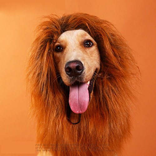 CatYou Medium Large Dog Christmas Festival Party Fancy Dress Up Lion Mane Wig, Golden Retriever Costume