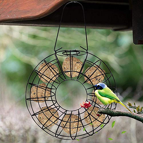 Herva Bird Feeder Large Ring Rust Uv Resistant Weatherproof