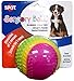 SPOT Sensory Ball for Soft Chewers - Stimulates All 5 Senses, Bell & Squeaker Sounds, Raised Nubs Clean Teeth, High Contrast Fetch Toy, Beef Scented, Durable TPR Rubber Ball, 3.25-inch