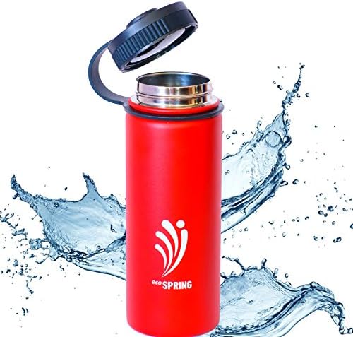 ecoSpring Stainless Steel Water Bottle with Straw Lid & Travel Bag – Portable Thermos For Sports – Double Walled Water Holder Vacuum Insulated Flask For Hot & Cold Drinks – Sweat Proof Design – 18 oz