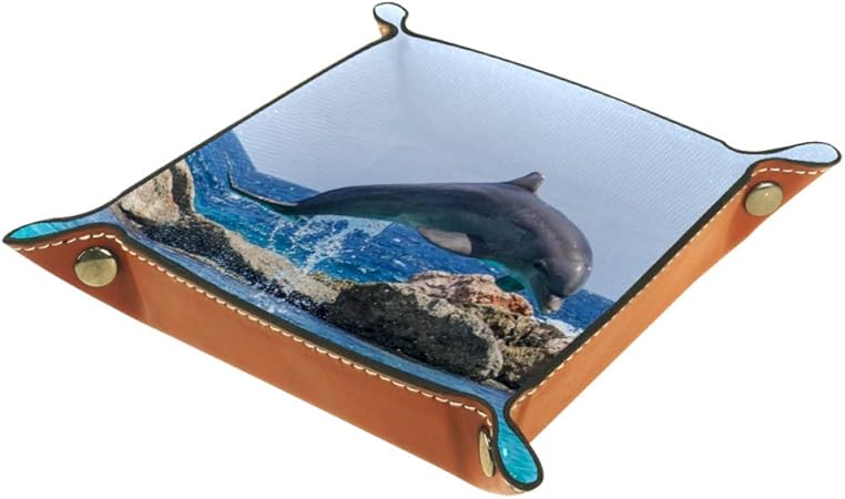 Vockgeng Seedelphin Aufbewahrungsbox Korb Desktop Organizer dekorative