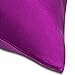 MEILIS 100% Pure Silk Satin Pillowcase Toddler Travel Pillow Shams,Good for Hair and Skin,14x19inch