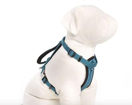 Large Blue Kong Comfort Padded Chest Plate Dog Harness Offered