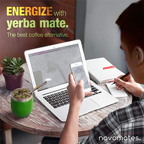 Novomates [NEW] Mate Cup and Bombilla Set Mate Gourd Includes Double Wall Stainless Steel