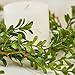 Darice Boxwood Garland: Green, 6 x 72 inches Wreath, 24 inches