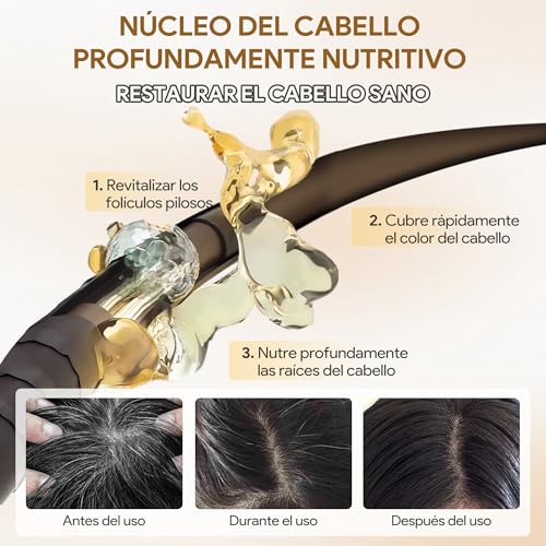 Black Hair Dye Shampoo 3 in 1, Shampoo para Canas con Tinte, Champú para Teñir el Cabello Negro, Cobertura de Canas con Ingredientes Herbales, 500ml (Negro)
