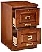 Coaster Home Furnishings Palmetto 2-Drawer Oak File Cabinet, Warm Honey