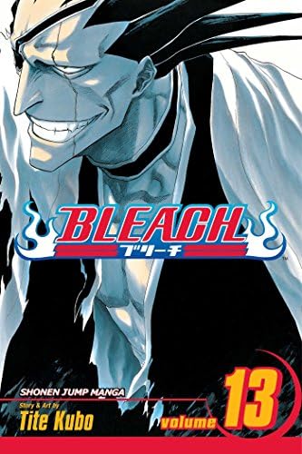 Amazon.com: BLEACH Can't Fear Your Own World 1 (JUMP j BOOKS