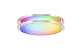 CLOUDY BAY 12 Inch LED Smart Flush Mount Ceiling