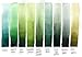 DANIEL SMITH 284600194 Extra Fine Watercolor 15ml Paint Tube, Perylene Green, 0.5 Fl Oz (Pack of 1)