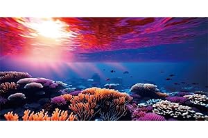 YongFoto Fish Tank Background 48x18 inch Coral Seaweed Reef Rock Tropical Fish Underwater Sea World Polyester Backdrop Reptile Habitat Terrarium Aquarium Background