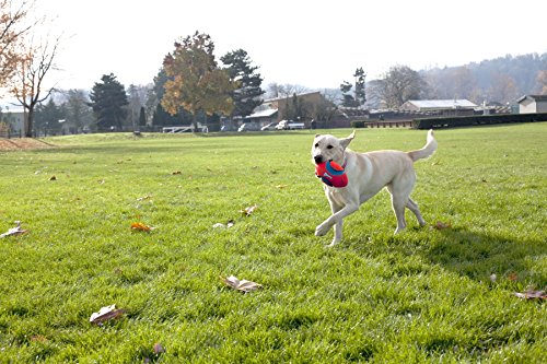 Chuckit Fumble Fetch Toy for Dogs, Small