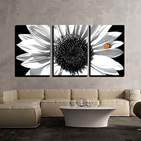 Sunflower in Black and White - Canvas Art Wall Art - 16"x24"x3 Panels