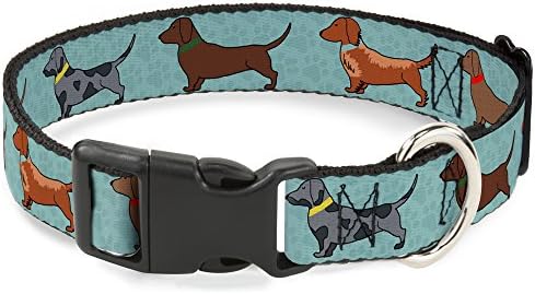 dachshund collars and leashes
