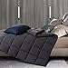 Comforter Soft Goose Down Alternative Duvet Insert Warm Winter 2100 Series Quilt with Corner Tab for All Season, Prima Microfiber Filled (Grey, Queen-1)