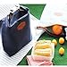 YJYdada Waterproof Thermal Cooler Insulated Lunch Box Portable Tote Storage Picnic Bags (Navy)
