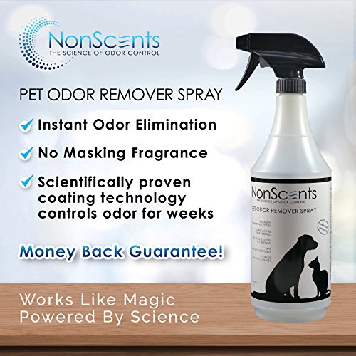 Best Enzymatic Cleaner for Dog Urine to Have a Clean Home