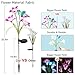 Outdoor Solar Butterfly Garden Stake Lights,2Pack Digiroot Solar Powered Lights with 8 Lily Flower&2 Butterfly,Multi-color Changing LED Solar Decorative Lights for Garden,Patio,Backyard(Purple&White)