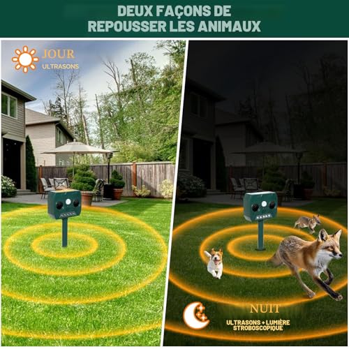 RAYGARD 2 x Outdoor Cat Repellent, Ultrasonic Solar Repellent for Dogs, Waterproof IP45, 12 m, 120 °, Garden Pet Scarer with LED Light for Cats, Dogs, Foxes, Martens