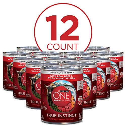 Purina ONE Natural Gravy Wet Dog Food, SmartBlend True Instinct Tender Cuts With Real Beef & Salmon  - //medicalbooks.filipinodoctors.org